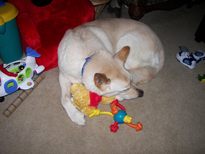 2007 127.JPG
